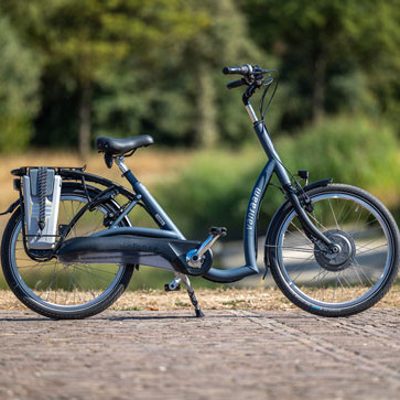 Tiefeinsteiger Fahrrad von Van Raam auf einem Kopfsteinpflaster vor einem Waldstück