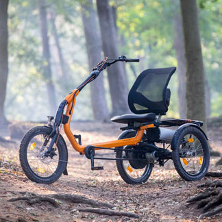Das Easy Rider E-Dreirad steht auf einer Waldlichtung
